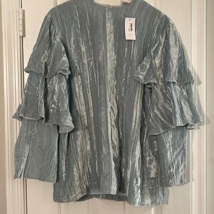 Rare and stunning Baby Blue Velvet Second Sight Blouse
